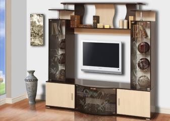 Центральная секция "Виста" Центральная секция "Виста"