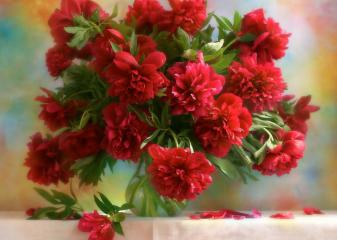 Репродукция "Букет алых пионов"